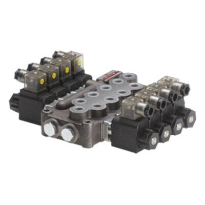 Elektro-Steuerblock 12 V - 1 x DW