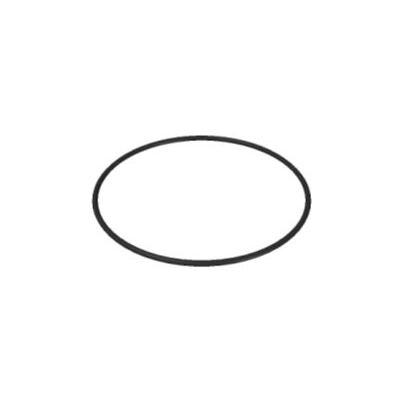 O-Ring Ø 66,04 x 5,34 mm (6262/169)