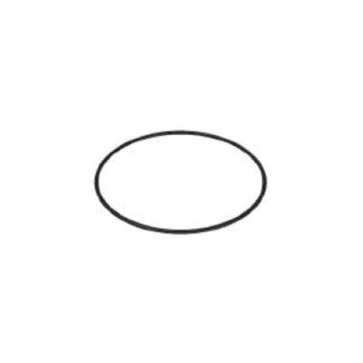 O-Ring 171.05 x 3.53 mm (4675)