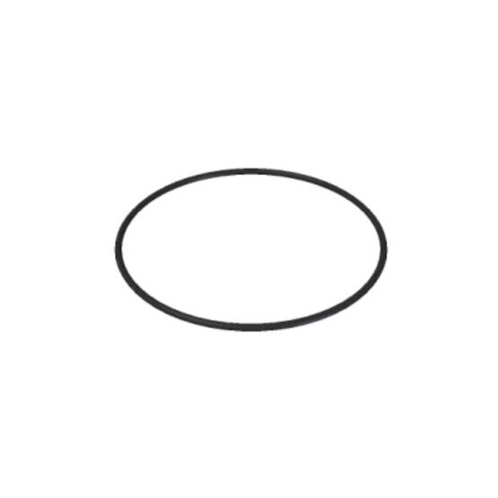 O-Ring Ø 66,04 x 5,34 mm (6262/169)