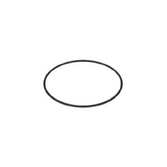O-Ring 171.05 x 3.53 mm (4675)