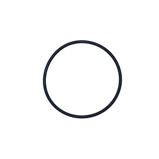 O-Ring zu Syfon innen am Kunststoffbogen