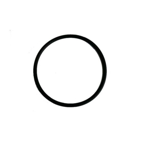 O-Ring zu Syfon Schauglas