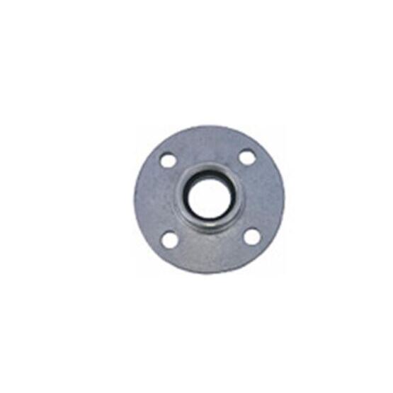 Flansch DN 050 - PN16 mit 1