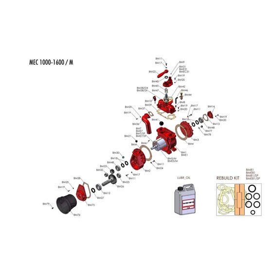 BM33