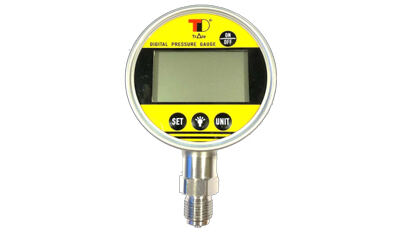 0 - 600 bar Digital